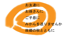 贈答にみかんを送りましょう